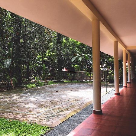 Palm Grove Service Villa Kochi Extérieur photo