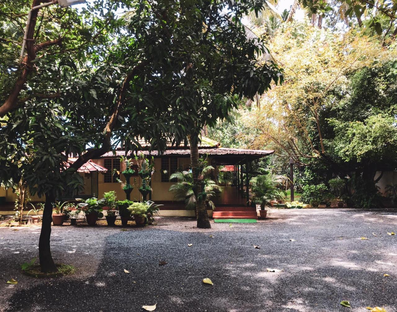 Palm Grove Service Villa Kochi Extérieur photo