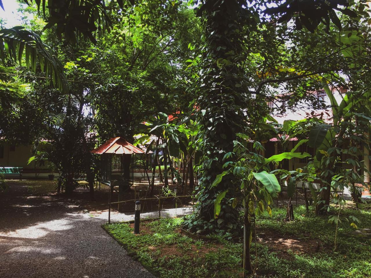Palm Grove Service Villa Kochi Extérieur photo
