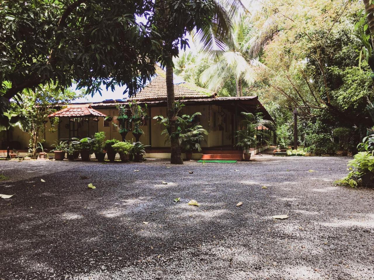 Palm Grove Service Villa Kochi Extérieur photo