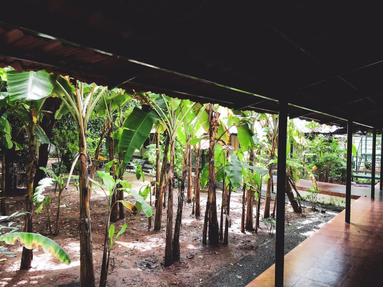 Palm Grove Service Villa Kochi Extérieur photo