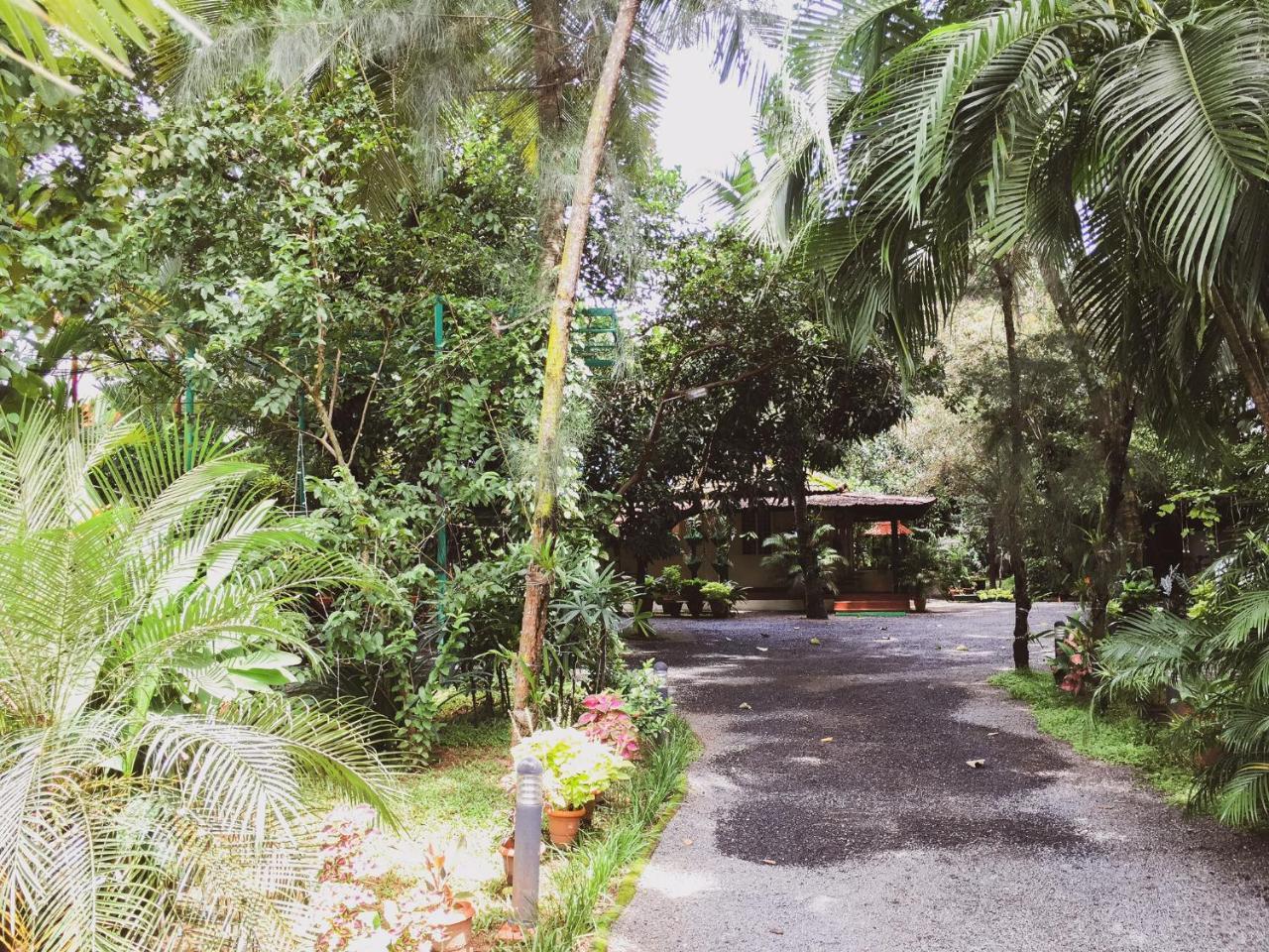 Palm Grove Service Villa Kochi Extérieur photo