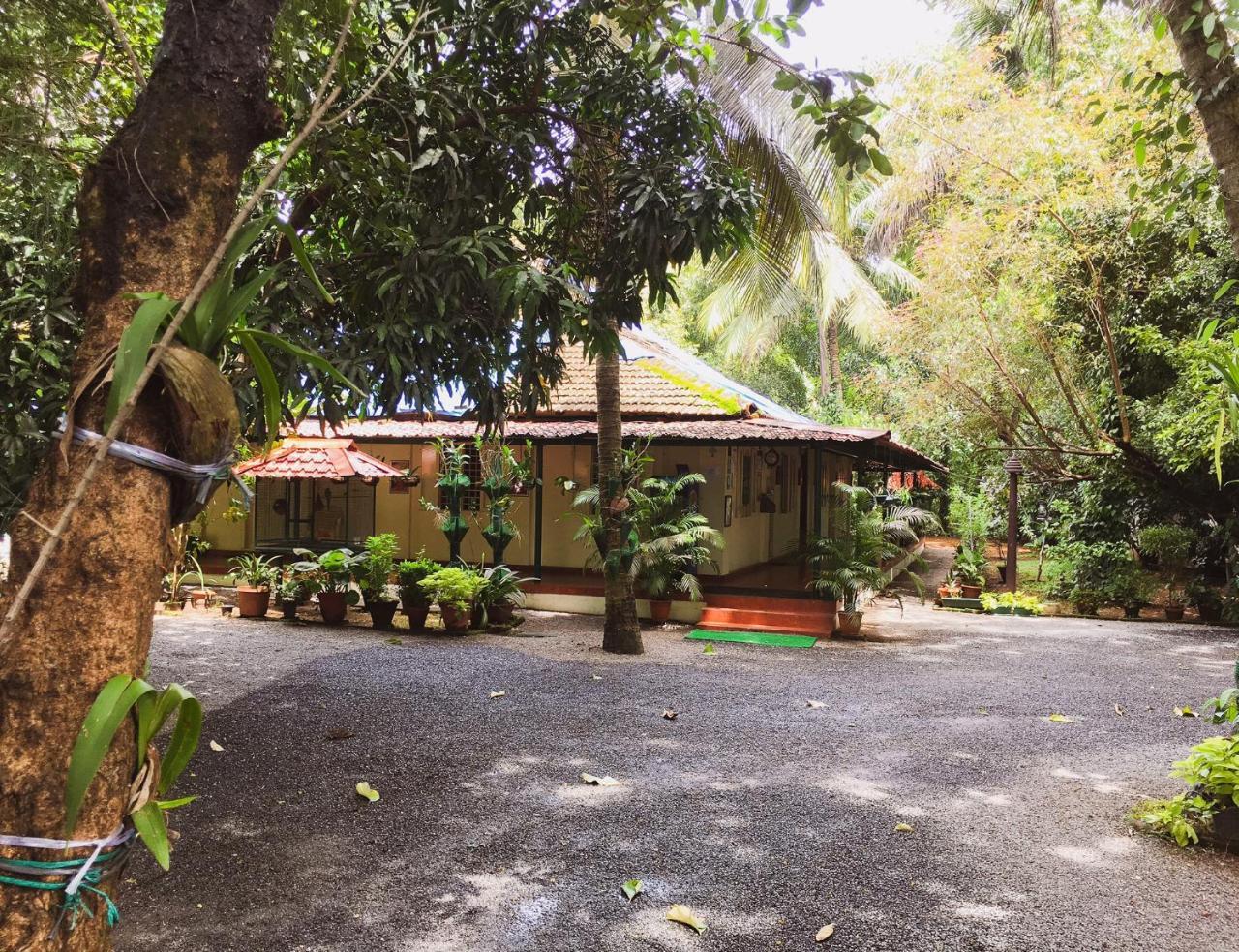 Palm Grove Service Villa Kochi Extérieur photo