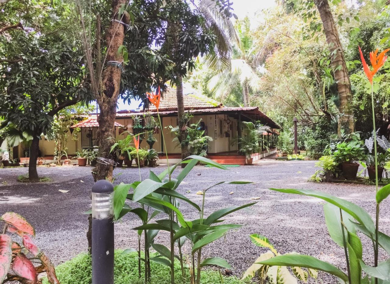 Palm Grove Service Villa Kochi Extérieur photo